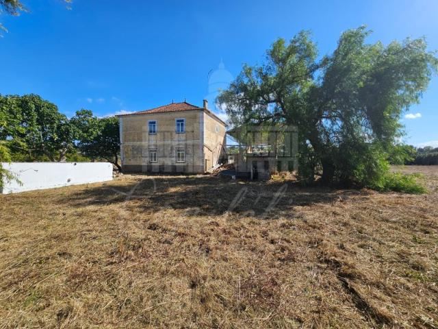 Quinta venda em Torres Novas, Santarém
