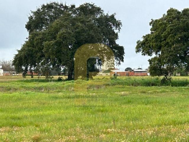 Quinta venda em Bairro do Miranda, Montijo
