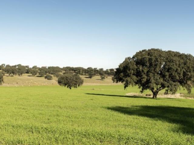 Casa venda em Alcácer Do Sal, Setúbal