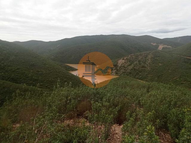 Terreno venda em São Bartolomeu De Messines, Faro