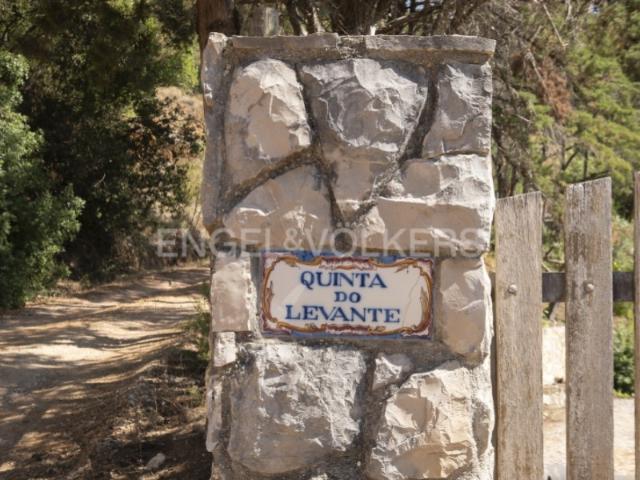 Quinta venda em Azeitão (São Lourenço e São Simão), Setúbal