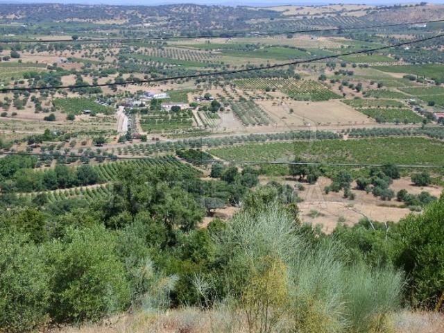 Quinta venda em Vidigueira, Beja