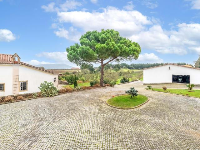 Casa venda em Rego Da Murta, Santarém