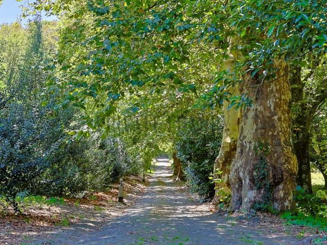 Vivenda venda em Estefânea, Sintra