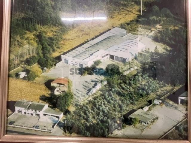 Armazém venda em Anadia, Aveiro