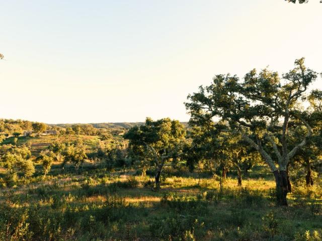 Terreno venda em Valinho, Santiago Do Cacém