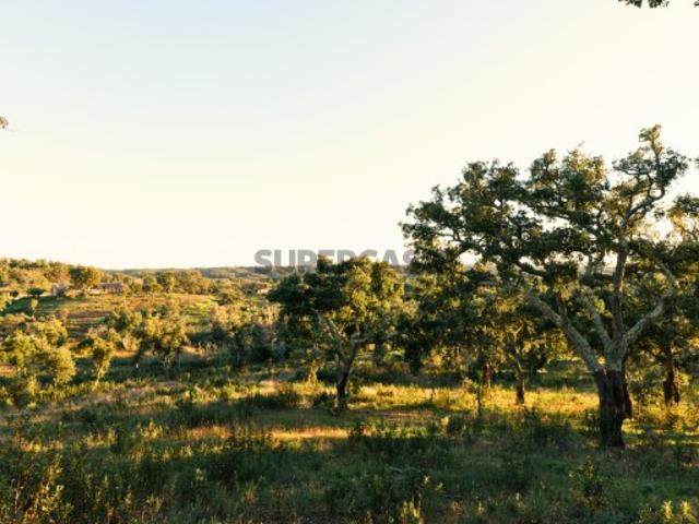 Terreno venda em Santiago Do Cacém, Valinho Terreno venda em Santiago Do Cacém, Valinho