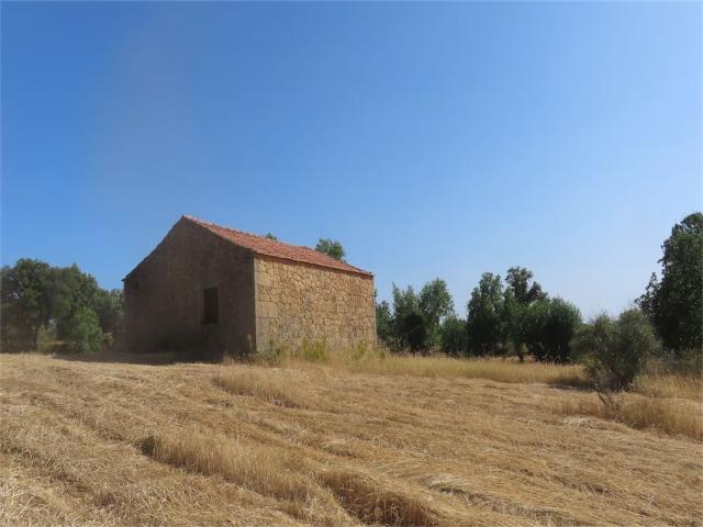 Quinta venda em Bairro do Barrocal, Castelo Branco