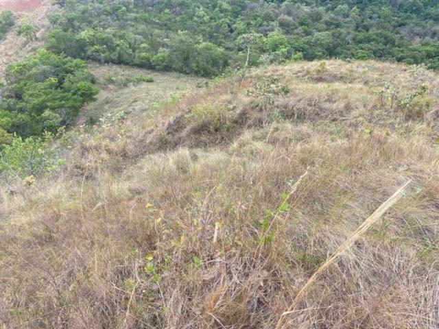 Sítio e chácara venda em Região Geográfica Imediata de Passos, Fortaleza de Minas