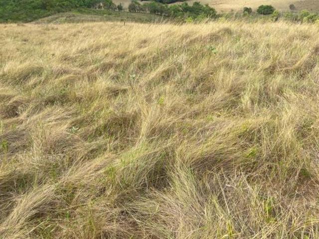 Sítio e chácara venda em Região Geográfica Imediata de Passos, Fortaleza de Minas