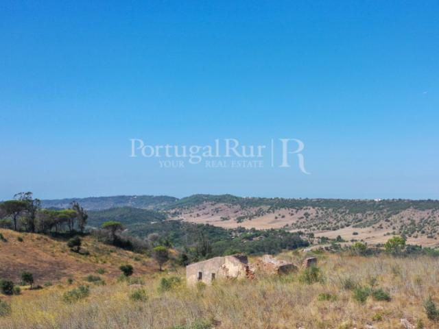 Quinta venda em Palmela, Setúbal