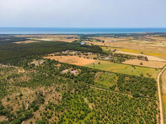 Vivenda venda em Sines, Setúbal