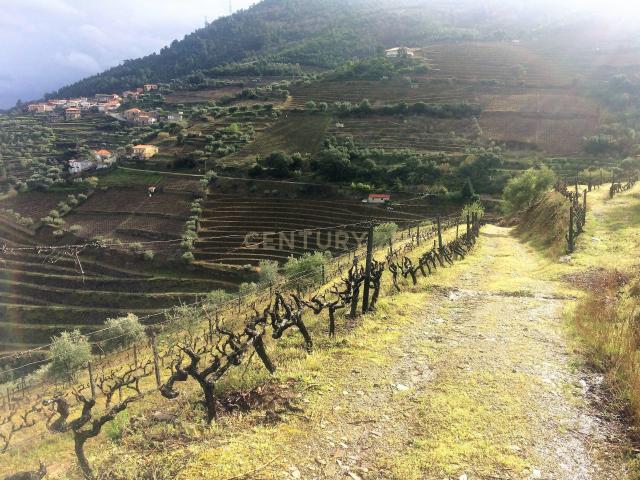 Terreno venda em Aldeias, Viseu