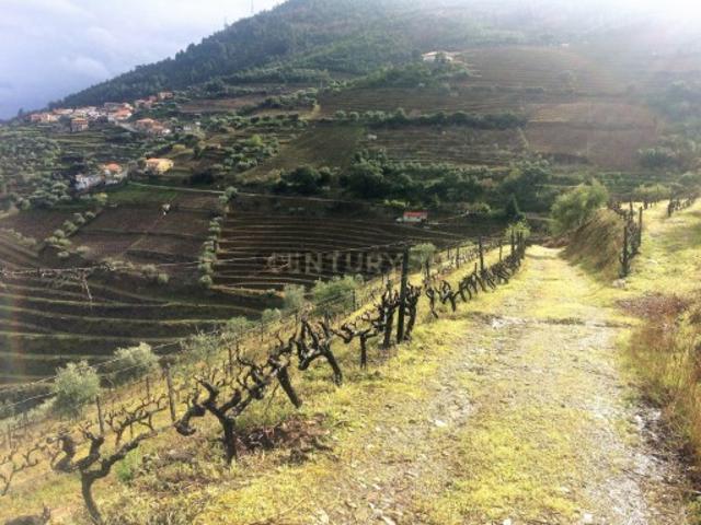 Terreno venda em Aldeias, Viseu