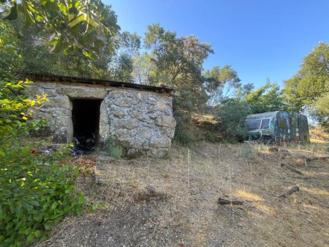 Quinta venda em Castelo Branco