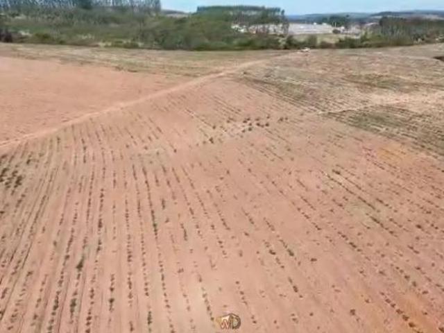 Sítio e chácara venda em Região Geográfica Imediata de São Sebastião do Paraíso, São Sebastião do Paraíso