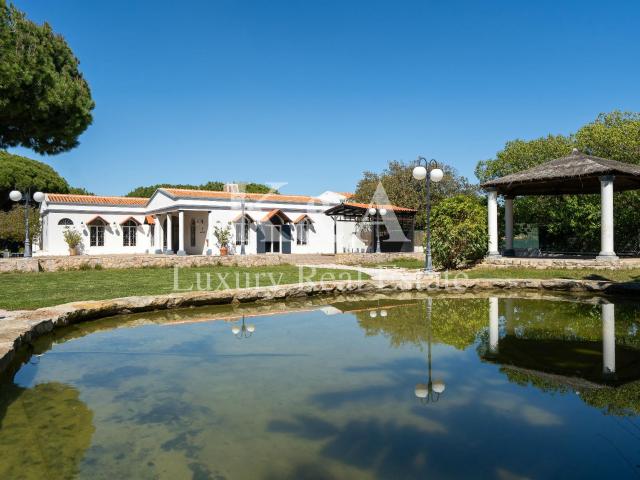 Loja venda em Loulé, Faro