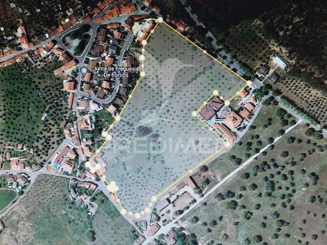 Quinta venda em Portalegre, Fortios