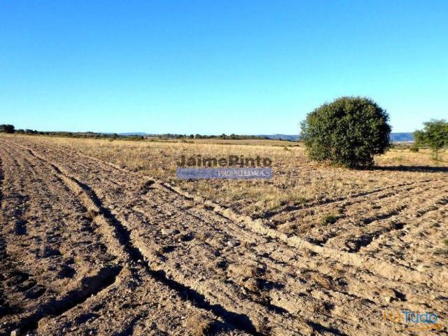 Terreno venda em Guarda, Figueira De Castelo Rodrigo