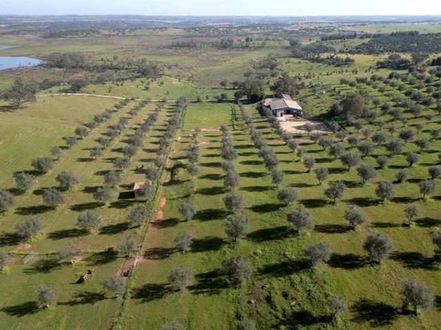 Quinta venda em Ourique, Beja