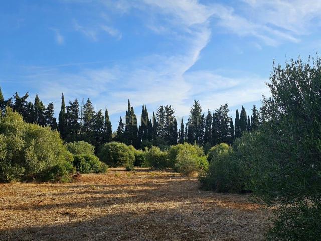 Quinta venda em Lagos, Faro