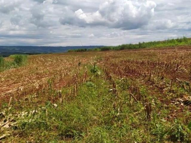 Sítio e chácara venda em Monte Santo de Minas, Região Geográfica Intermediária de Varginha