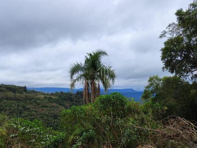 Sítio e chácara venda em Região Geográfica Imediata de Caxias do Sul, Gramado