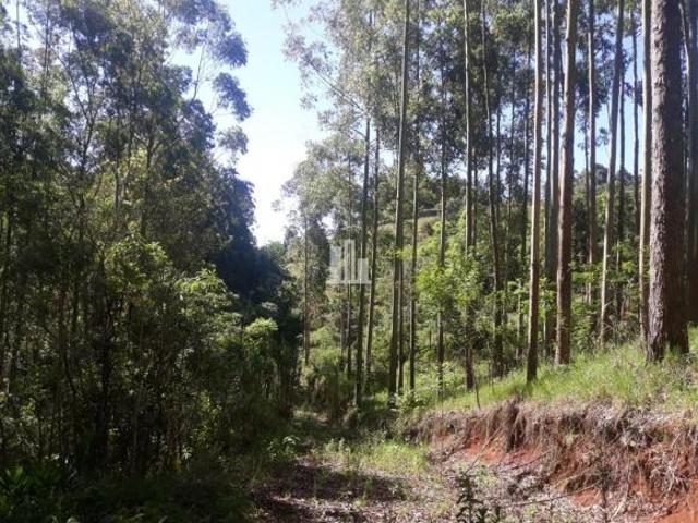 Sítio e chácara venda em Região Geográfica Imediata de Erechim, Erval Grande