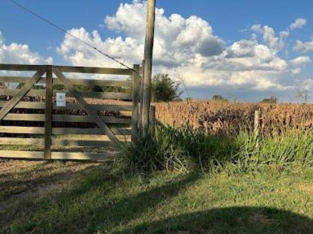 Sítio e chácara venda em Santo Antônio, Jaguariúna
