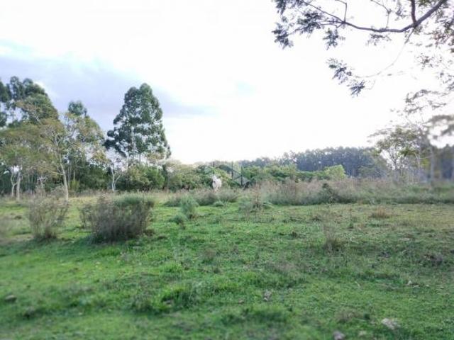 Sítio e chácara venda em Região Geográfica Imediata de Santa Maria, Santa Maria