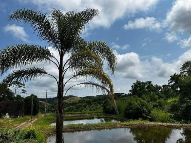 Sítio e chácara venda em Região Geográfica Imediata de Pouso Alegre, Bueno Brandão