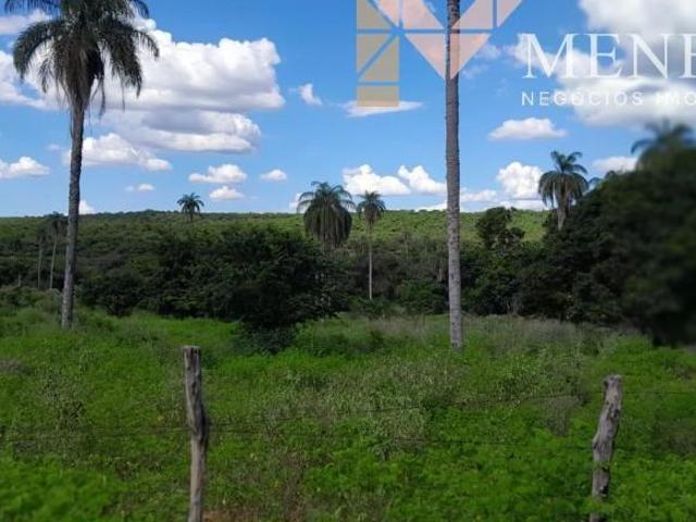 Sítio e chácara venda em Santa Rita, Brasília de Minas