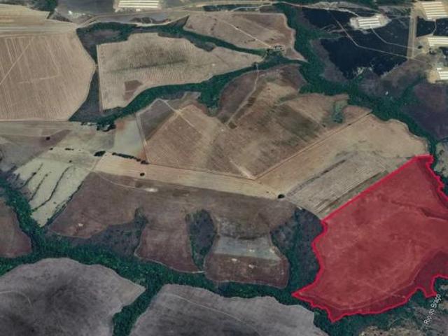Sítio e chácara venda em Ipameri, Região Geográfica Intermediária de Goiânia