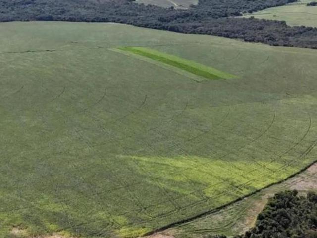 Sítio e chácara venda em Ipameri, Região Geográfica Intermediária de Goiânia