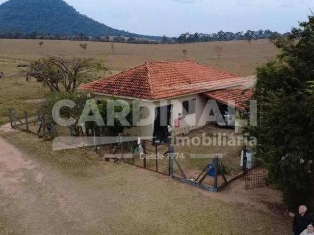Sítio e chácara venda em Região Imediata de São Carlos, São Carlos
