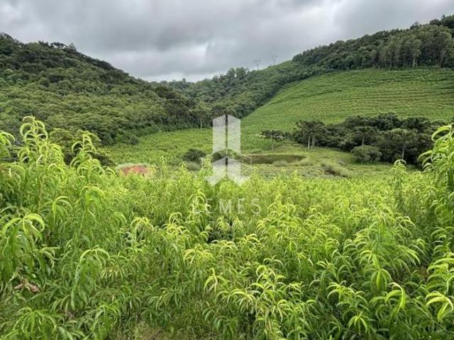 Sítio e chácara venda em Bento Gonçalves