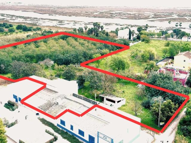 Quinta venda em Tavira, Faro