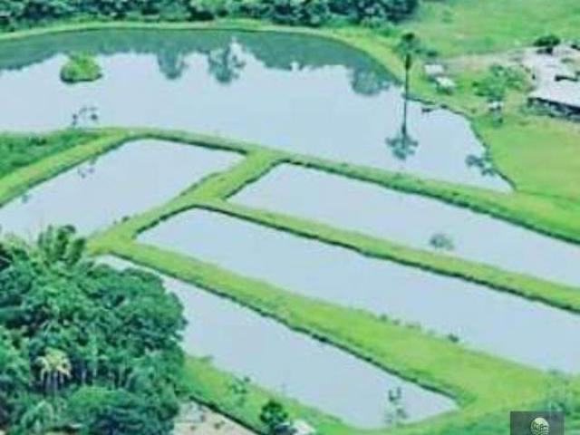 Sítio e chácara venda em Região Geográfica Imediata de Campo Grande, Rochedo