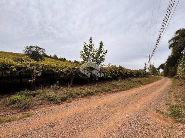 Sítio e chácara venda em Região Geográfica Imediata de Bento Gonçalves, Bento Gonçalves