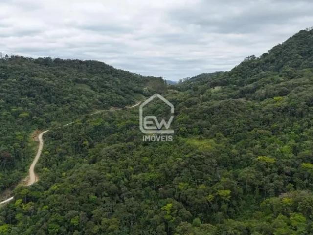Fazenda venda em Região Geográfica Imediata de Joinville, Massaranduba