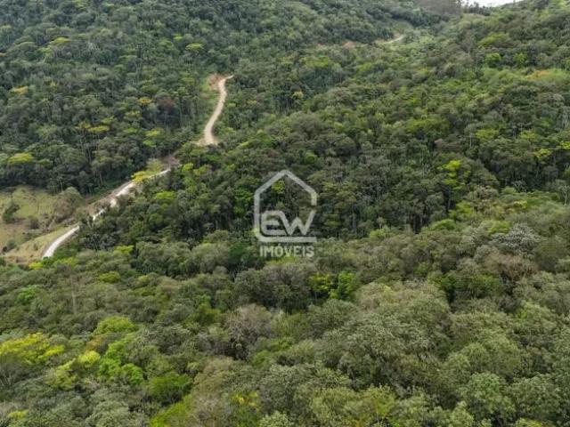 Fazenda venda em Região Geográfica Imediata de Joinville, Massaranduba