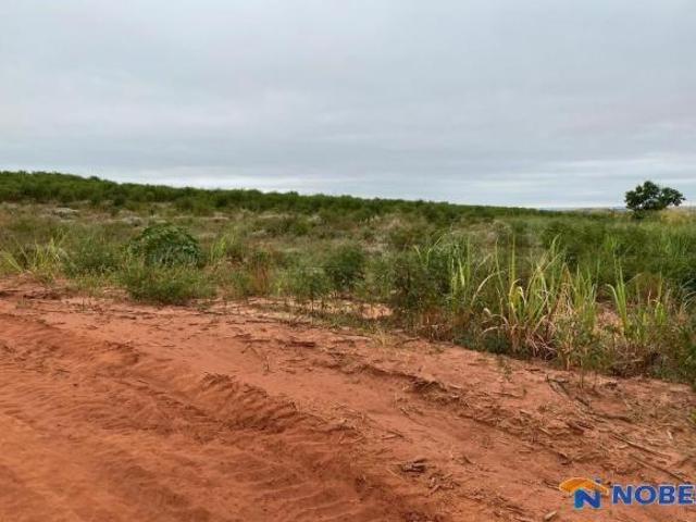 Sítio e chácara venda em São Jorge do Ivaí, Região Geográfica Intermediária de Maringá