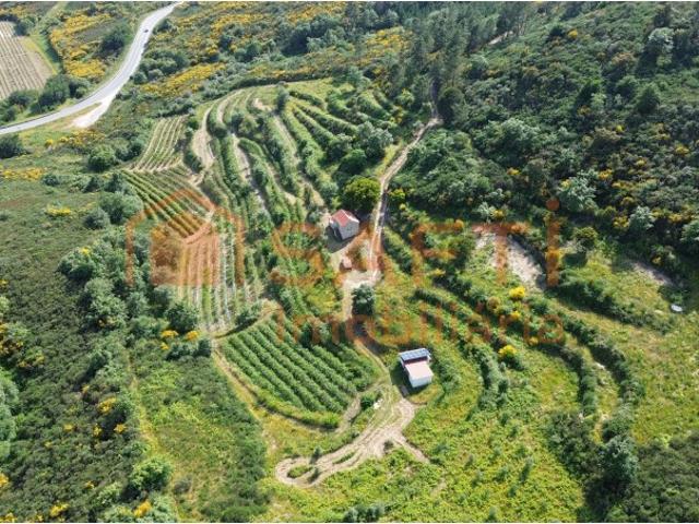 Quinta venda em Mourilhe, Viseu