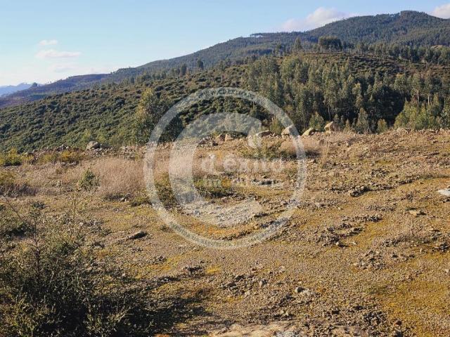 Terreno venda em Celorico De Basto, Braga