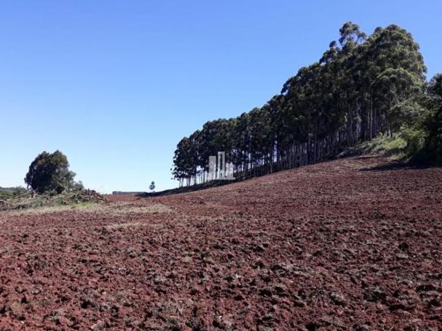 Sítio e chácara venda em Região Geográfica Imediata de Erechim, Erval Grande
