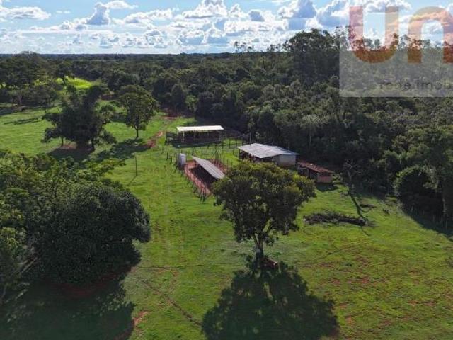 Sítio e chácara venda em Região Geográfica Imediata de Frutal, Frutal