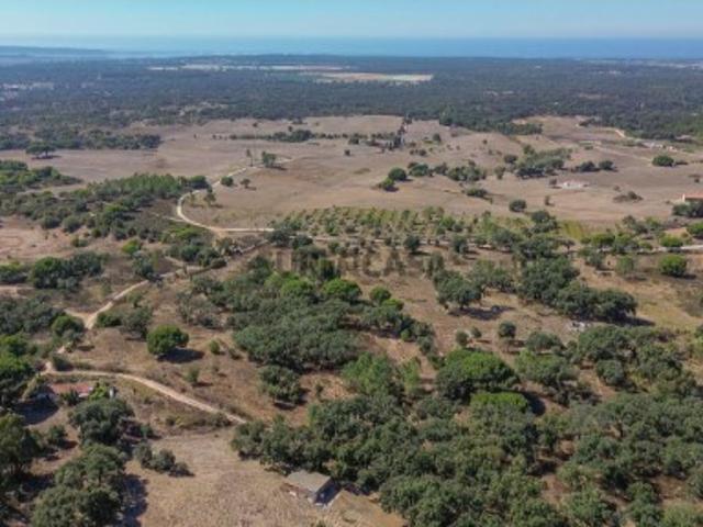 Terreno venda em Grândola, Setúbal