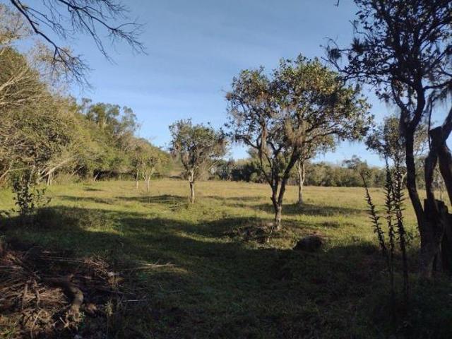 Sítio e chácara venda em Região Geográfica Imediata de Porto Alegre, Mariana Pimentel