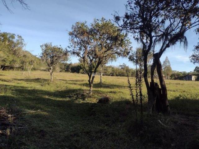 Sítio e chácara venda em Região Geográfica Imediata de Porto Alegre, Mariana Pimentel