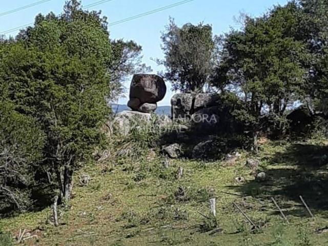 Sítio e chácara venda em Região Geográfica Imediata de Porto Alegre, Mariana Pimentel